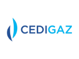 CEDIGAZ_ cglng2020.png